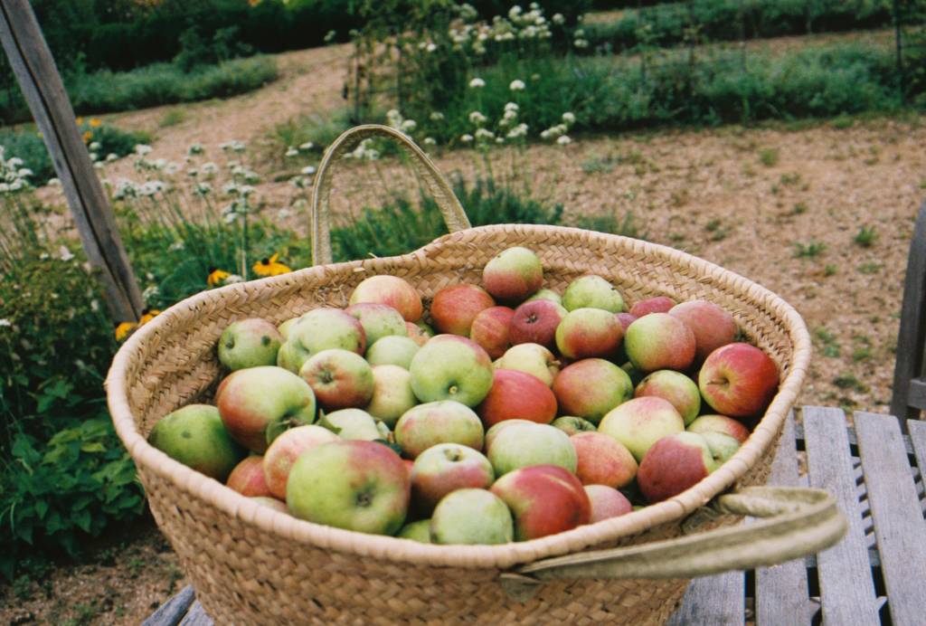 GC applesauce