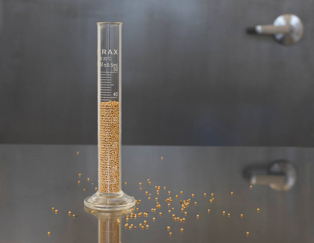 Mustard Malaria Web