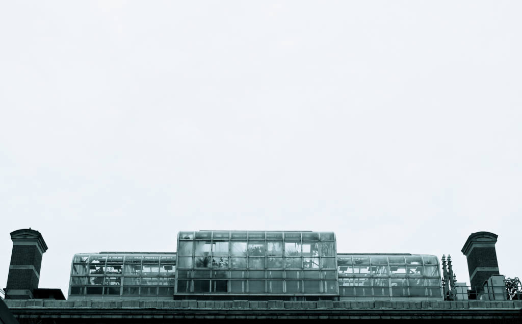 DSC_1130