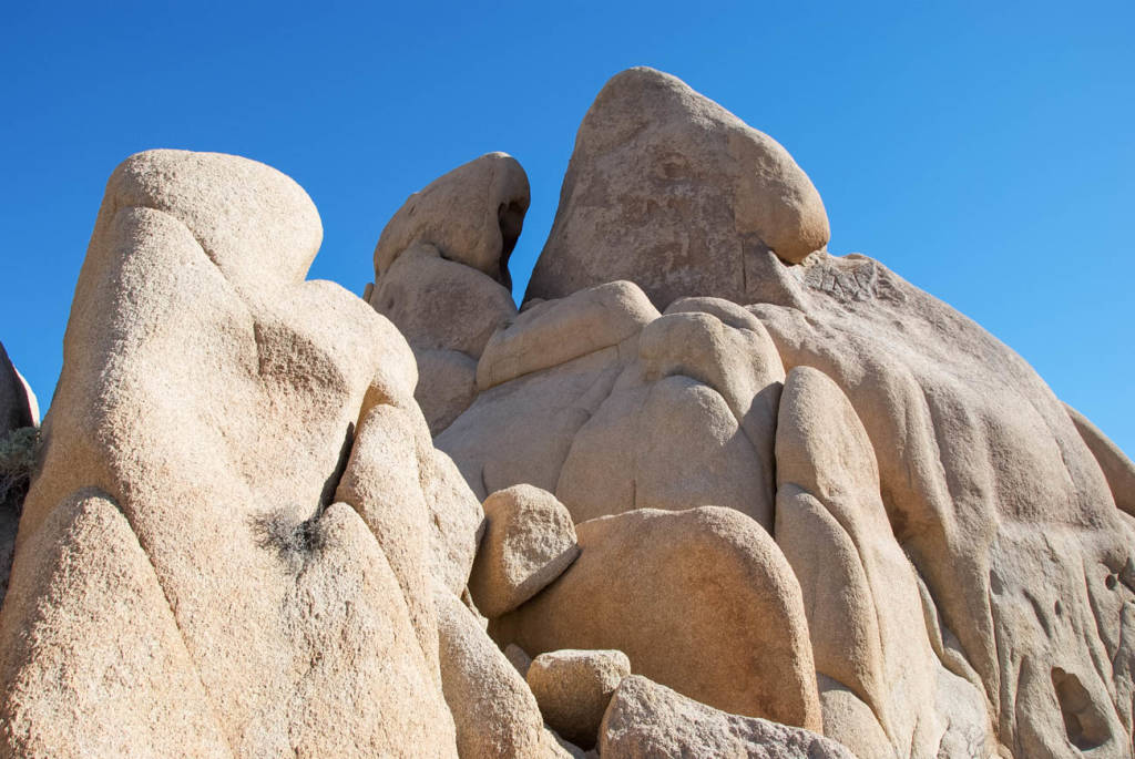 Joshua Tree